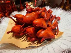 -鸽子侯·家宴·平价海鲜(市图书馆店)