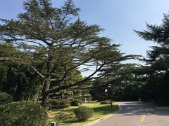 -西郊宾馆·1921餐厅