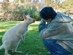 -威勒比开放式动物园