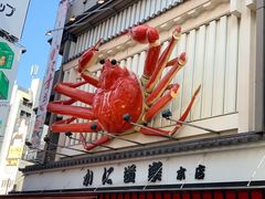 -蟹道乐(道顿堀本店)
