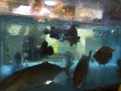 -海晖酒楼·顺德鱼生(荣华店)