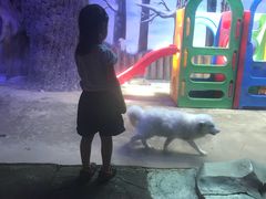 -芜湖新华联大白鲸海洋公园