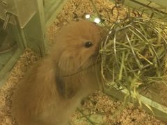 -龙猫仔乐园(惠福东路店)