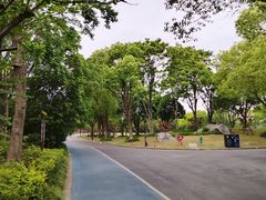 -吴淞炮台湾湿地森林公园烧烤区