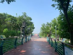 -吴淞炮台湾湿地森林公园烧烤区