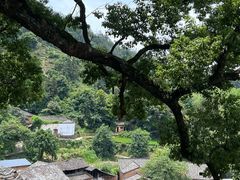 -杨家堂村