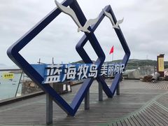 -枸杞岛