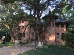 -中山大学学者灵芝(园南路店)