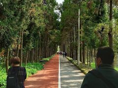 -上海长兴岛郊野公园