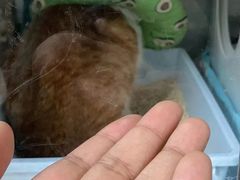 -睿金宠物医院·CT·肿瘤·骨外科