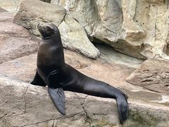 -香港海洋公园