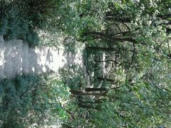 android_upload_pic-府山公园