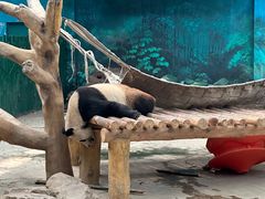 -沈阳森林动物园