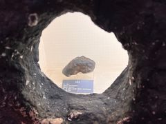 -河南自然博物馆