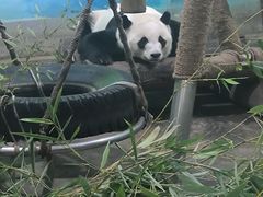 -柳州市动物园