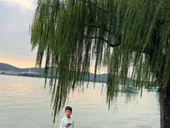 -无锡蠡湖国家湿地公园-蠡园