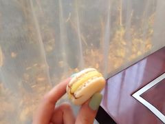 -索菲特西湖大酒店·香榭丽全日候餐厅(南山路店)