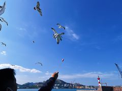 -海驴岛(荣成市)