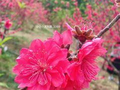 -水濂山森林公园