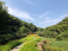 -宁波浙东大竹海景区