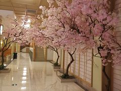-极乐汇汗蒸会馆(杭州店)