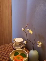 -梵隐SPA