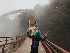 -少华山国家森林公园