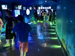 -烟台海昌鲸鲨海洋公园