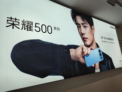 -荣耀授权专卖店(黄浦浙江中路店)