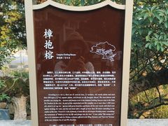 -江心屿景区