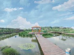 -同銮特种养殖场·龙虾垂钓