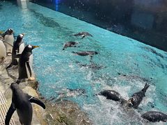 -成都浩海立方海洋公园