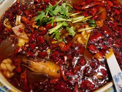 -宽窄巷成都菜(青岛路万达广场店)