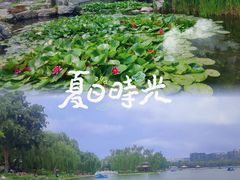 -陶然亭公园