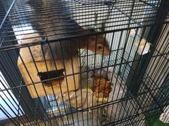 -MOJO密室逃脱(中街旗舰店)