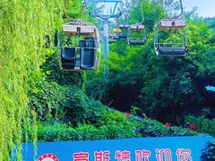 -富斯特索道