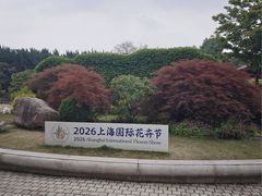 -嘉定紫藤园