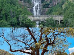 -天台山琼台仙谷景区