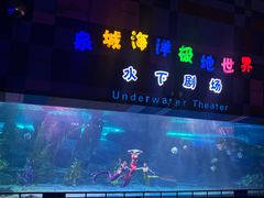 -泉城欧乐堡海洋极地世界