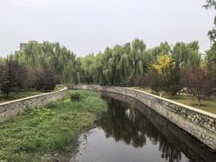-元大都城垣遗址公园