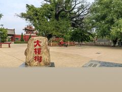 -大槐树寻根祭祖园