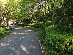 -上海长兴岛郊野公园
