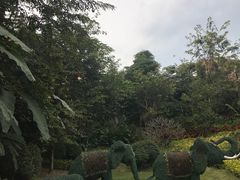 -西双版纳融创皇冠假日度假酒店