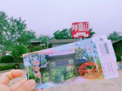 -阳台山自然风景区