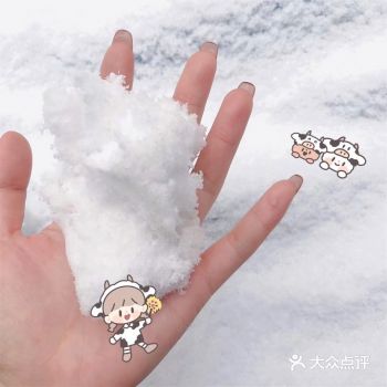 嗷吼，今天起床发现下雪了，惊惊喜喜