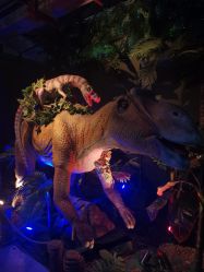 -恐龙探索乐园(磁器口店)