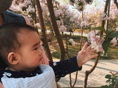 -大兴滨河森林公园