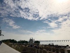 -宝安西湾红树林湿地公园