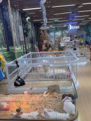 -小象动悟公园(龙湖亦庄天街店)