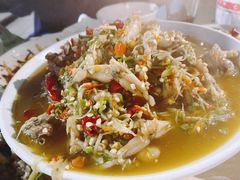 仔姜青蛙-龚三夜宵